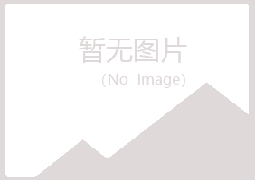 岐山县喧哗音乐有限公司